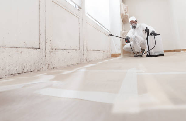 24/7 Emergency Mold Remediation experts in Cross Junction, VA